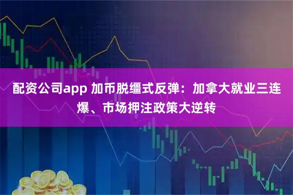 配资公司app 加币脱缰式反弹:加拿大就业三连爆、市场押注政策大逆转