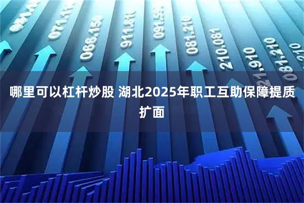 哪里可以杠杆炒股 湖北2025年职工互助保障提质扩面