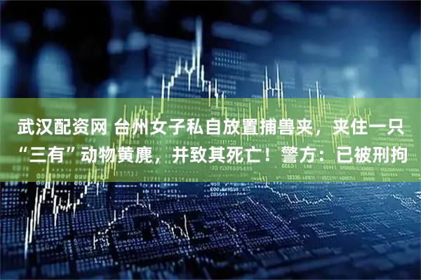 武汉配资网 台州女子私自放置捕兽夹，夹住一只“三有”动物黄麂，并致其死亡！警方：已被刑拘